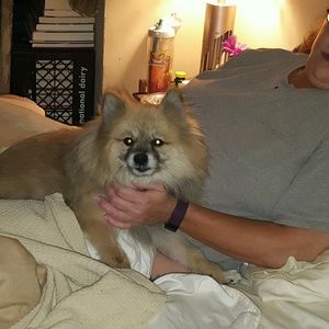 Meet your Posher, Kerry